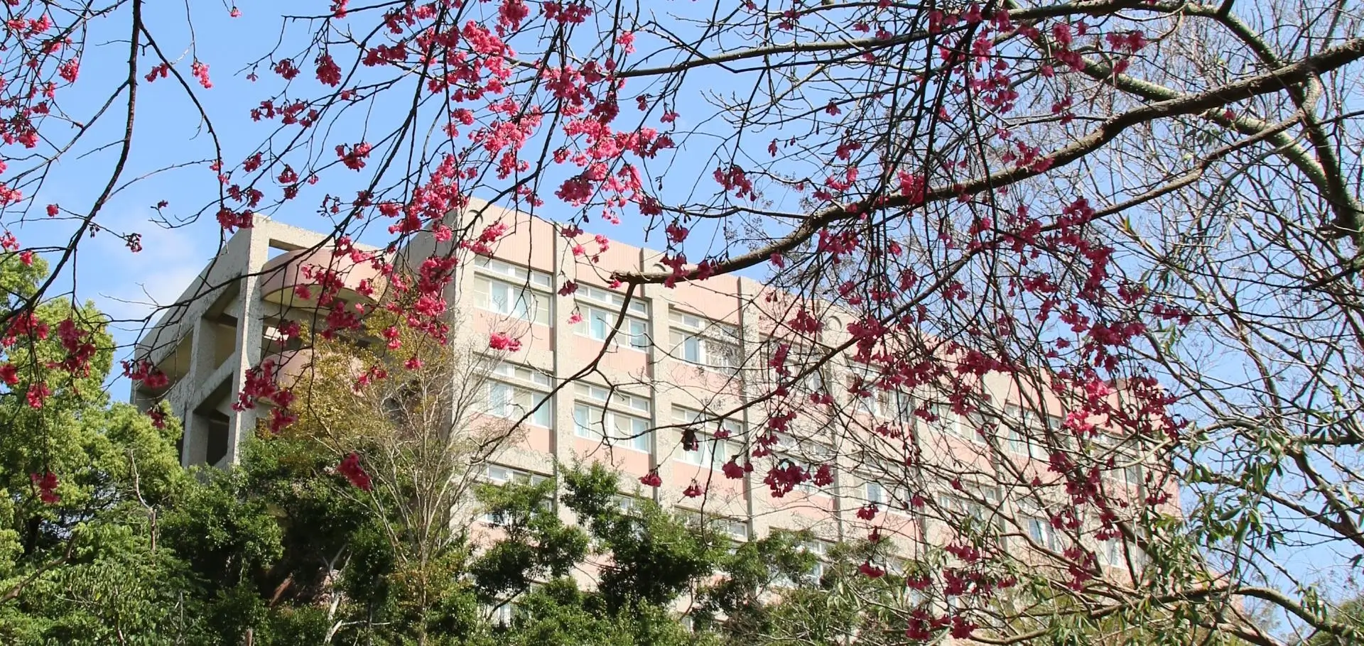 輪播2